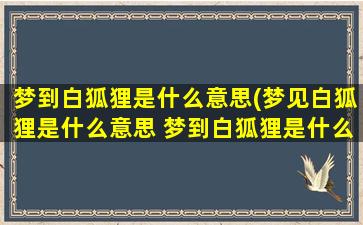 梦到白狐狸是什么意思(梦见白狐狸是什么意思 梦到白狐狸是什么预兆)